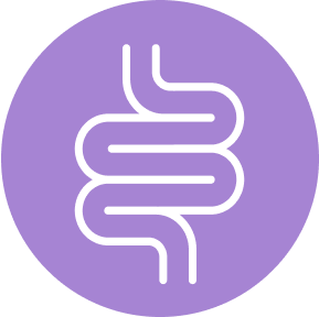 gut