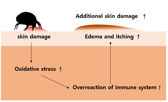 Atopic dermatitis
