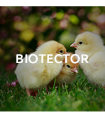 BIOTECTOR Layer