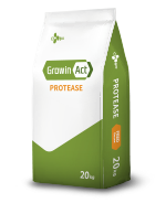 Protease